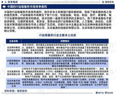 2023年中國IT運維服務行業現狀及未來發展趨勢研究報告